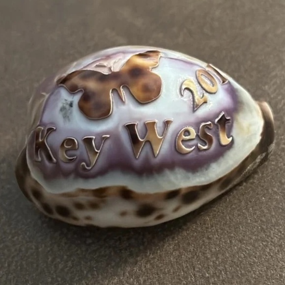 “Key West 2010” engraved sea shell - Picture 5 of 12
